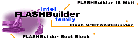 FLASH FRONT SCREEN IMAGE